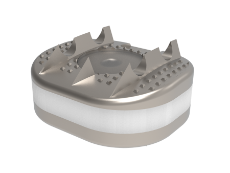 D-Flex Titanium Cervical Disc Prosthesis