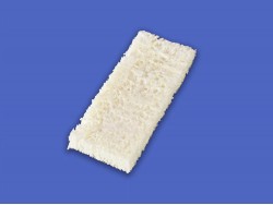 Demineralized Bone Matrix Strip