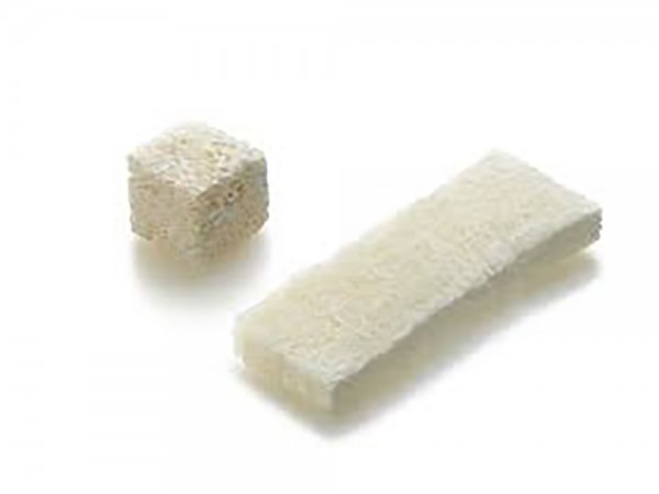 Demineralized Bone Matrix Cube and Strip